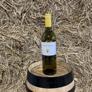 Albet i Nova Penedès White Organic Ecological